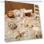 Thumbnail Hamster Seesaw Climbing Ladder Gnawing Teeth String Wooden Set Toy — Exercise Wheels