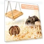 Thumbnail Hamster Seesaw Climbing Ladder Gnawing Teeth String Wooden Set Toy — Exercise Wheels