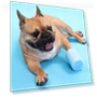 Thumbnail Pet Foot Clean Cup — Claw Care