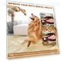 Thumbnail Simulation Nylon Dog Bone Toy — Bones