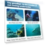 Thumbnail Wireless Underwater Fishing Video Camera — Adventure & Sports Cameras