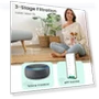 Thumbnail Smart WiFi Air Purifier for Large Rooms — Activated Carbon Air Purifiers, Afloia