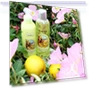 Thumbnail Christmas Gift Set for Women - 2 Piece Body Lotion & Body Wash Set — Women, Un Air d'Antan