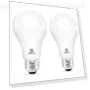 Thumbnail 150 Watt Equivalent LED Light Bulb — Compact Fluorescent, ENERGETIC SMARTER LIGHTING