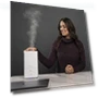 Thumbnail Premium Essential Oil Diffuser Humidifier Combo — Air Moisturizers, BlueHills