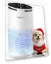 Превью Large Room Air Purifier with Aromatherapy — HEPA Air Purifiers, DBFIT