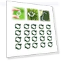 Превью Reusable Plastic Plant Clips for Climbing Plants — , FKMEE