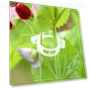 Превью Reusable Plastic Plant Clips for Climbing Plants — , FKMEE