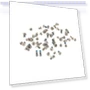 Complete Screws / Bolts Set for iPhone 6s — Screwdriver Sets