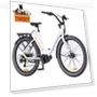 Urban Electric Bike — Electric Self-Balancing Scooters, ENGWE