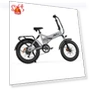 Folding Electric Bike — Electric Self-Balancing Scooters, PVY