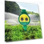 Thumbnail Digital Garden Watering Timer with Intelligent Irrigation Control — Automatic Irrigation, Garden Master