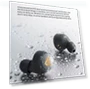 Thumbnail TWS Bluetooth 5.3 Earphone with AI Call Noise Cancelling — In-Ear Headphones, EDIFIER
