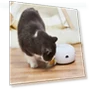 Превью Electric Rotating Turntable Funny Cat Toy — Cat Playthings