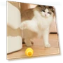 Thumbnail Intelligent Rolling Ball Motorized Toy for Cats — Cat Playthings