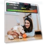 Thumbnail Smart Pet Dog Toy Ball Yo-Yo — Toys, O2