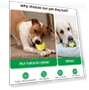 Thumbnail Smart Pet Dog Toy Ball Yo-Yo — Toys, O2
