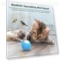 Thumbnail Smart Pet Cat Toy Ball Luminous Yo-Yo — Cat Playthings