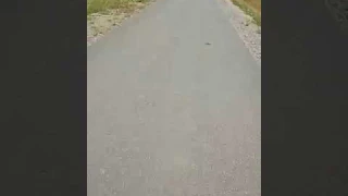 duotts c29 świetny rower 46kmh po 5000km przebiegu