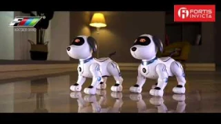 Le Neng - K16 RC Stunt Dog
