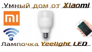 ОБЗОР Xiaomi Yeelight LED — умная светодиодная лампочка  Умный дом от Xiaomi