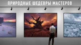 Природные шедевры мастеров. Дмитрий Шатров