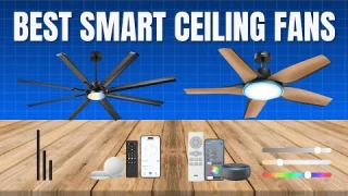 Top 5 Best Smart Ceiling Fans of 2025 (Tested & Reviewed!)