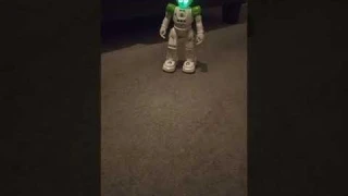 Caddy Wicke Kpop dancing robot