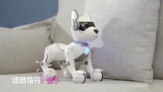 CB861265 Stunt dancing smart technology RC dog robot toys for children