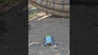TRIPLEFINE Robot Dog RC Car