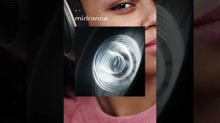 HD 505 Copper Edition Audiophile Headphones | Sennheiser