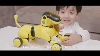AI Smart Dog Puppy Robot Dog Toys App Operate Function Demo