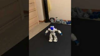 Ruko 1088 Smart Robots for Kids, Large Programmable Interactive RC Robot with Voice Control, APP Con