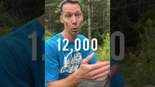 50 Amp RV Power Issues | Watchdog Surge Protector EPO