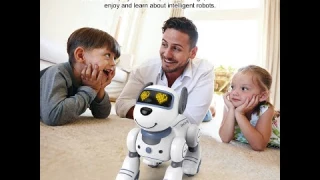 Infrared Remote Control Smart Stunt Dog