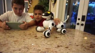 Puppy Smart - Robot Dog for Kids (Voice, Touch & App Features)