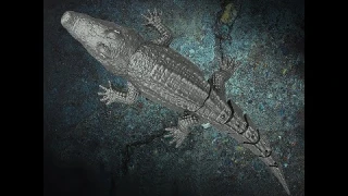 JJRC S13 RC Crocodile Boat