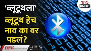 Bluetooth | 'ब्लूटूथला' ब्लूटूथ हेच नाव का बर पडलं? | Bluetooth Name