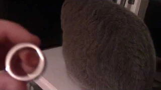 Магическое кольцо (обзор)