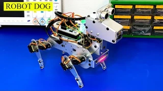 Amazing!!! I Built a Robot Dog and Made it Real dog , Raspberry Pi