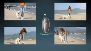 Best and Cheapest Bark Control Device |  Modus Ultrasonic Anti Barking DeviceDog Training Aid 2 in